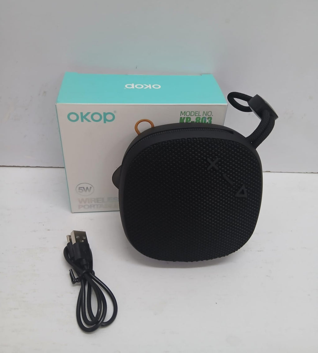 Wireless portable speaker//Audio system