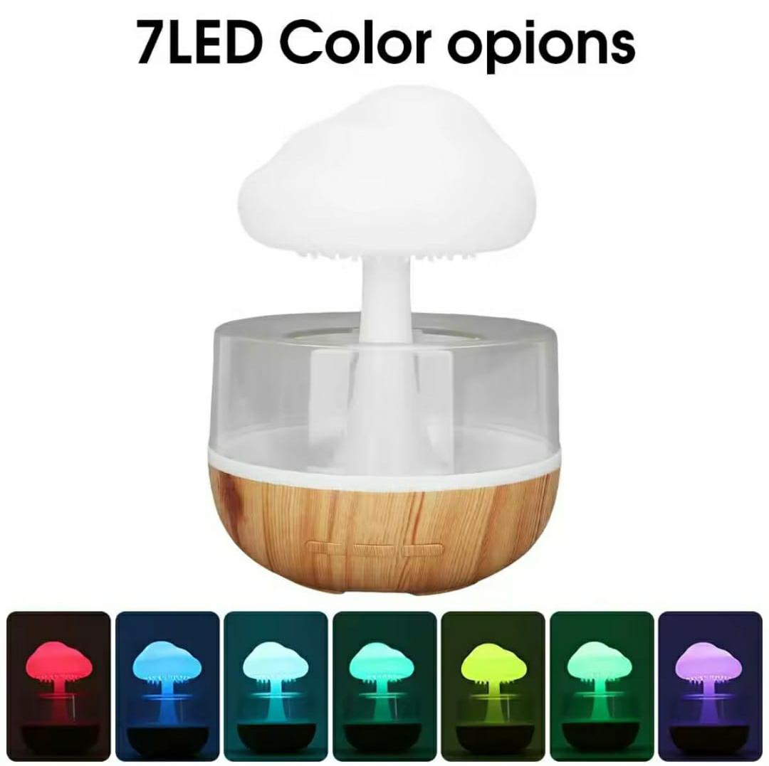 Rain Cloud humidifier