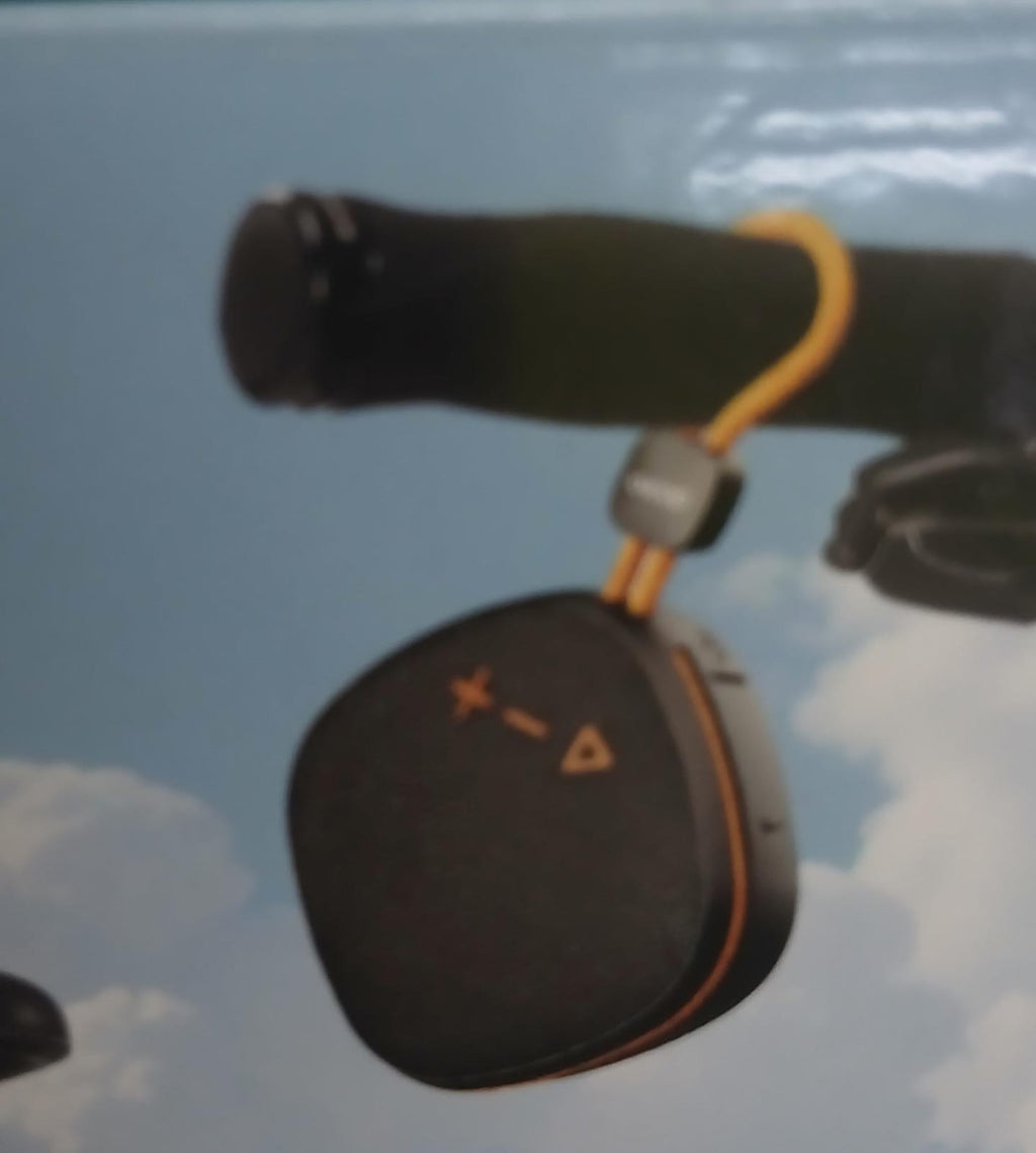 Wireless portable speaker//Audio system