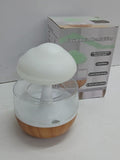 Rain Cloud humidifier